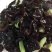 农家黑木耳脆木耳1斤大木耳毛木耳农家头茬白背木耳肉厚