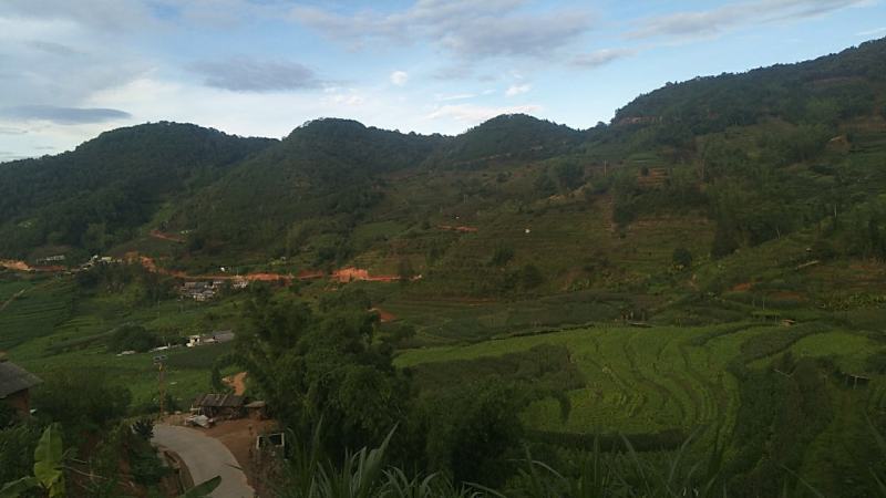 生姜4两以上带土（小黄姜）