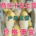 【产地直销】山东荷兰15土豆价格便宜黄皮黄心质量好量大