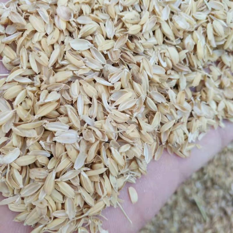 散装稻壳压缩稻壳酿酒发酵床养殖垫料大棚种植土壤改良