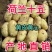 土豆批发荷兰15土豆黄皮黄心产地直销价格便宜
