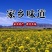 甜瓜甘肃酒泉花海甜瓜代办玉门花海甜瓜产地代办直销