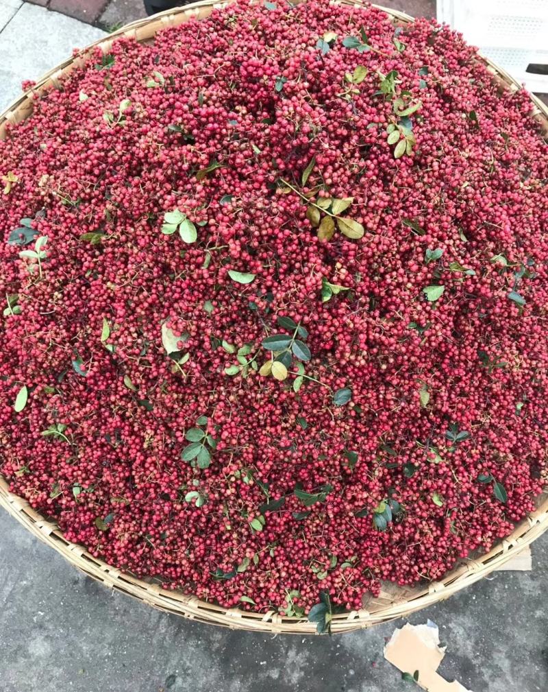 汉源花椒贡椒娃娃椒干花椒2020新货