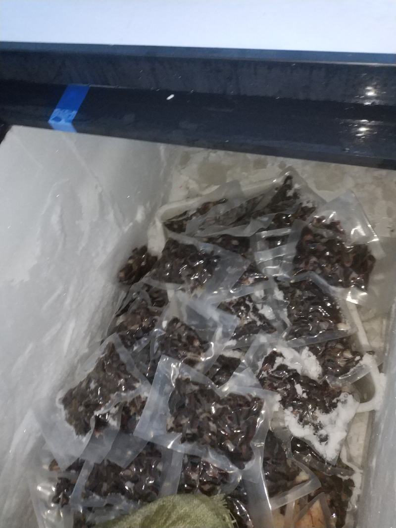 虾尾好规格小青现剥设备齐全真空保鲜全国物流