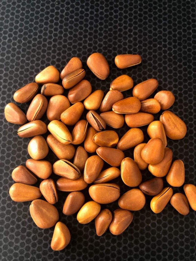 东北开口松子，颗粒饱满，大小均匀