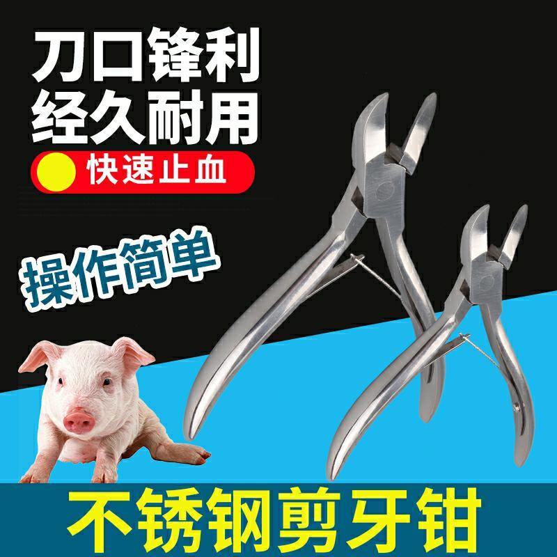 12cm弯头不锈钢剪猪用剪剪器小猪不锈钢剪钳