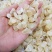雪燕正品雪燕实物图拍摄