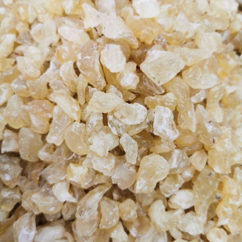 雪燕正品雪燕实物图拍摄