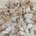 雪燕正品雪燕实物图拍摄