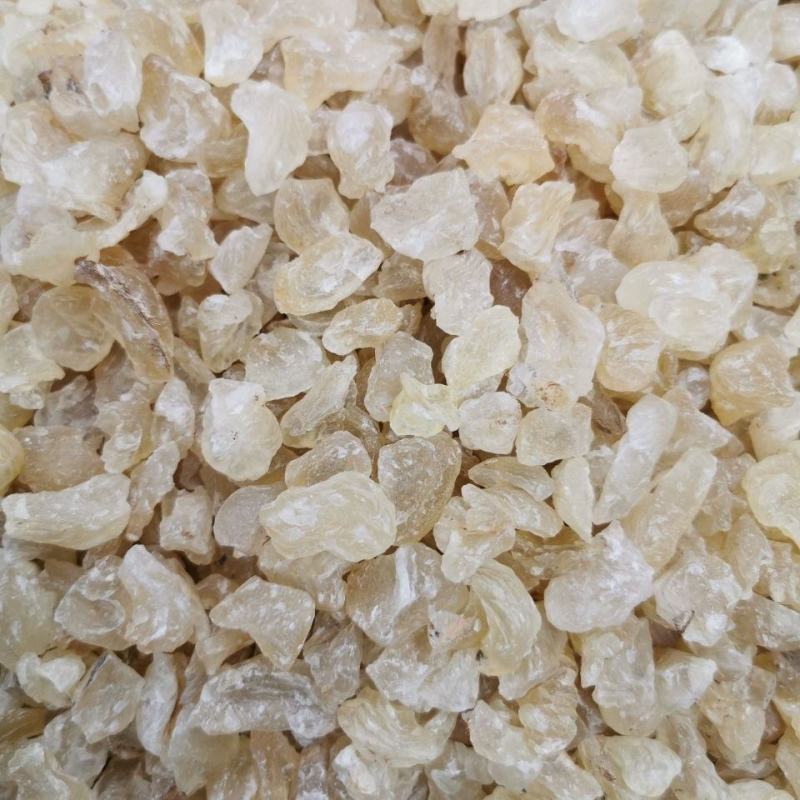 雪燕正品雪燕实物图拍摄