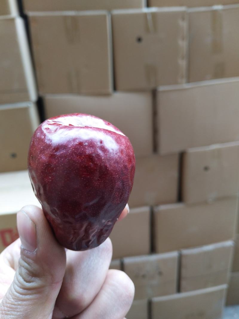 狗头枣一级干枣一手货过节送人好礼