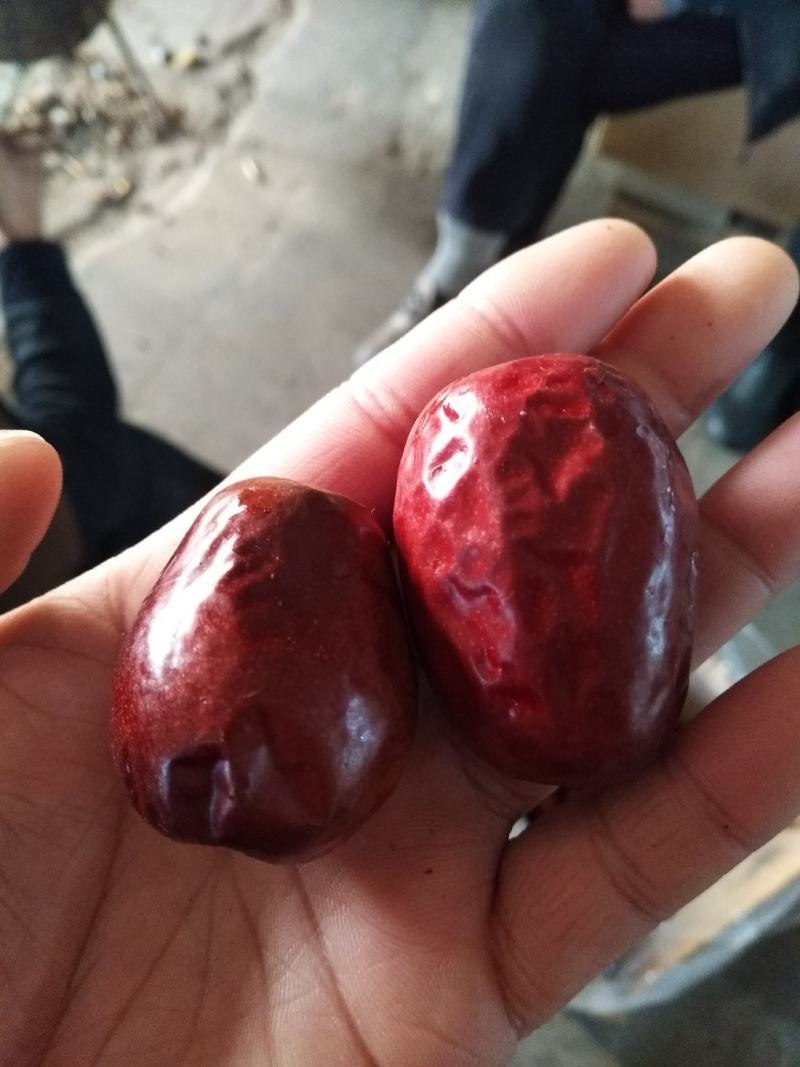狗头枣一级干枣一手货过节送人好礼