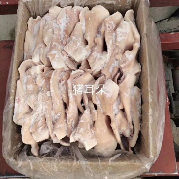 【精品】猪耳朵，无残耳，次耳量大价优欢迎咨询