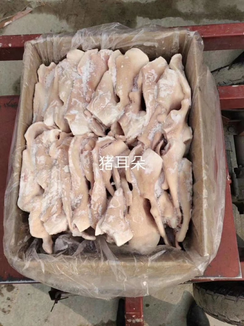 【精品】猪耳朵，无残耳，次耳量大价优欢迎咨询