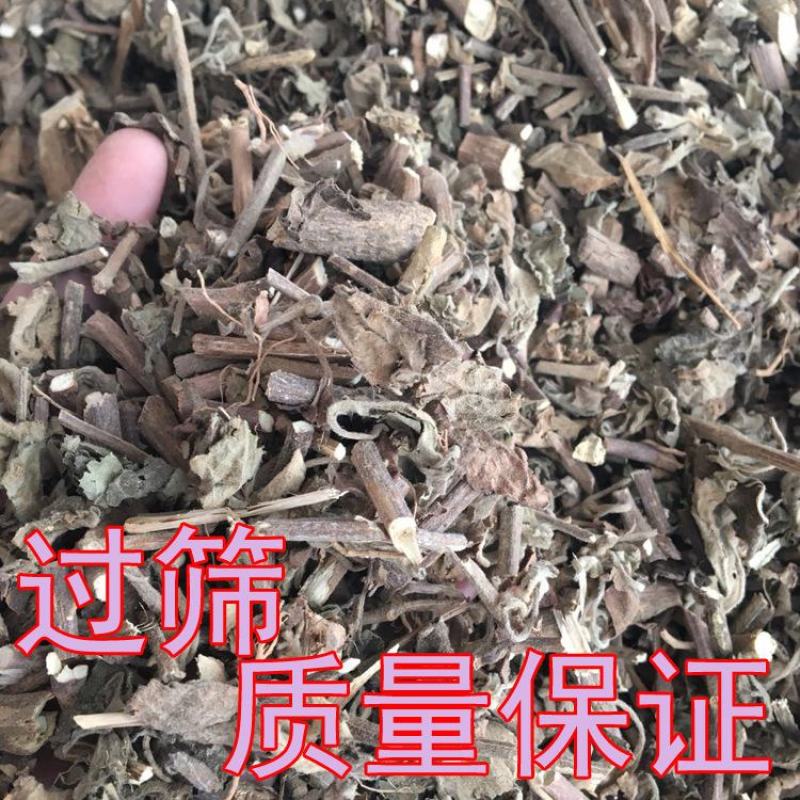 广藿香霍香霍香土霍香可打粉香排草货品多可详聊