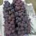浦江巨峰葡萄，阳光玫瑰葡萄，对接大型批发采购商