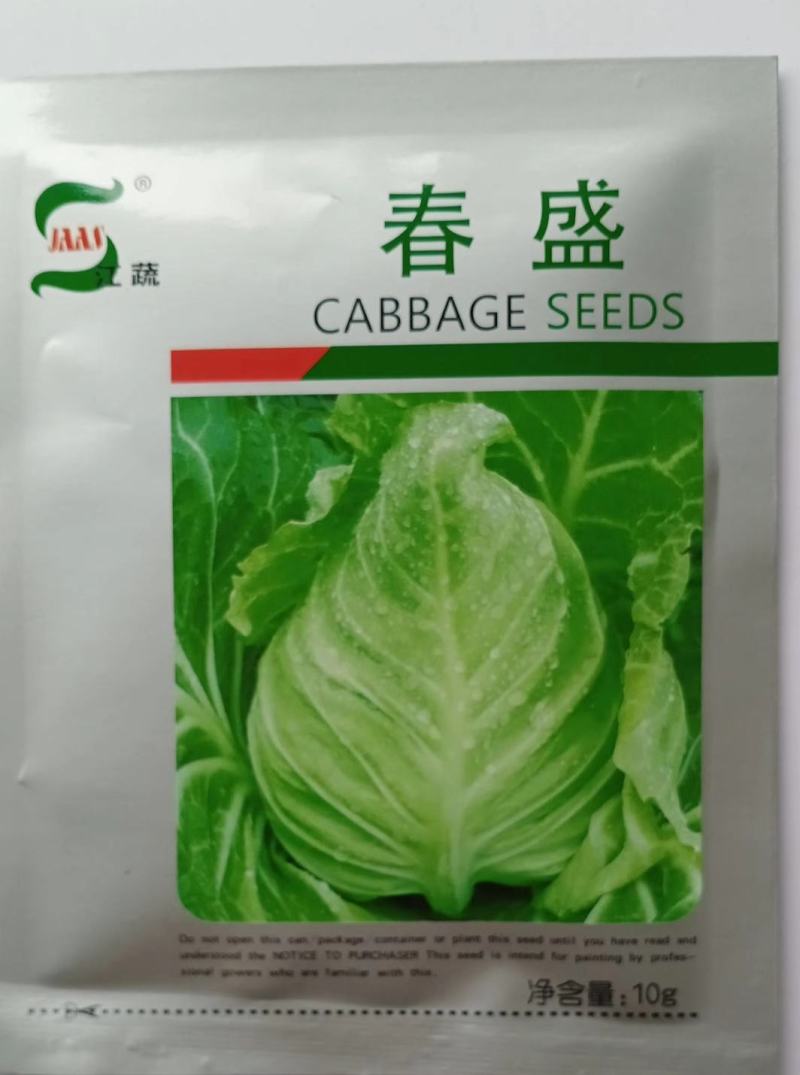 春盛甘蓝种子早熟冬性极强
