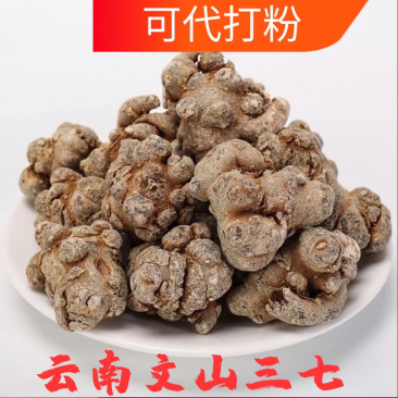 云南文山正品40三七头三七个田七三七粉云南三七整棵