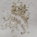 薏米碎渣批发零售品种齐全
