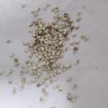 薏米碎渣批发零售品种齐全