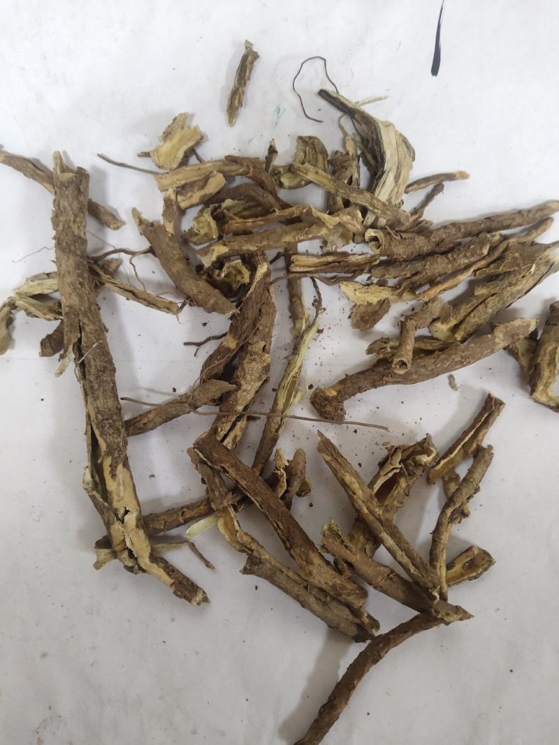 香五加皮五加皮统货批发零售