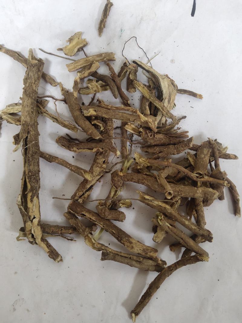 香五加皮五加皮统货批发零售