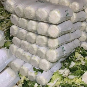 河北兴源蔬菜代发团队，大量供应黄心白菜。