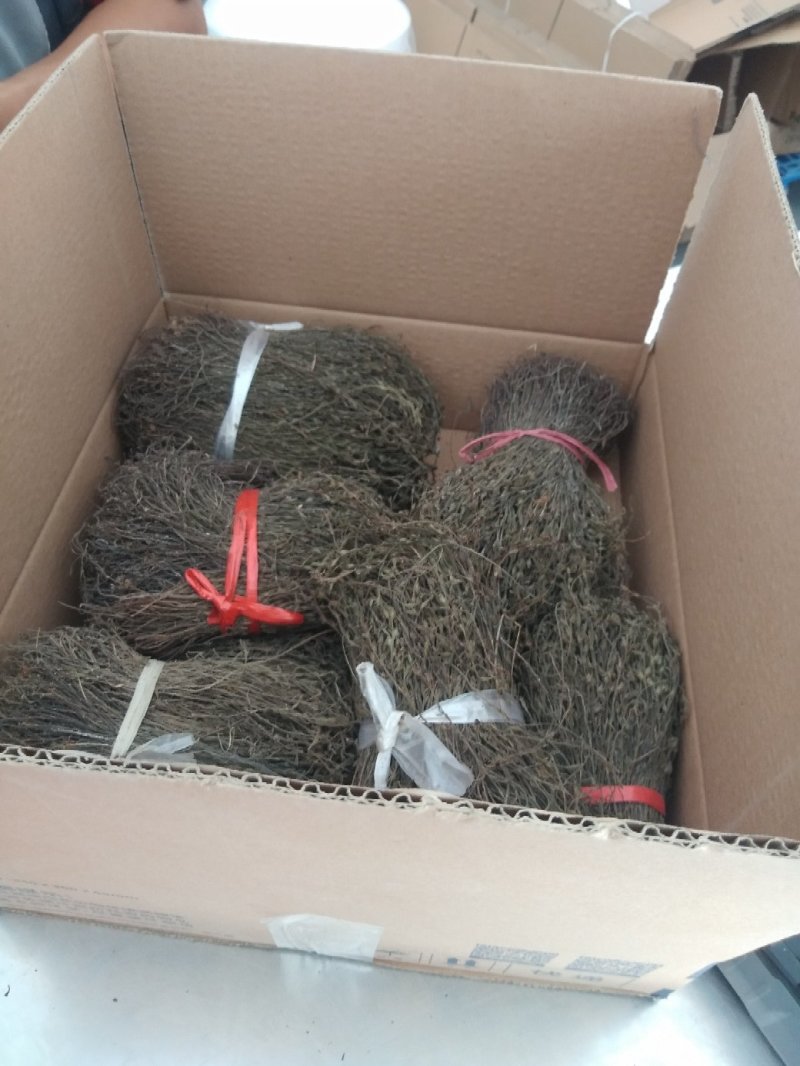 纯野生独脚金无硫天然晒干
