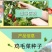 （包装）500克散装青菜鸡毛菜种子