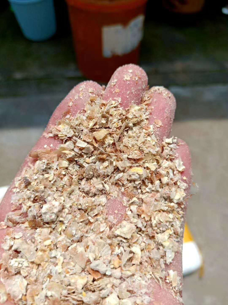 厂家直销烘干玉米皮喂鸡鸭鹅牛羊，饲料原料