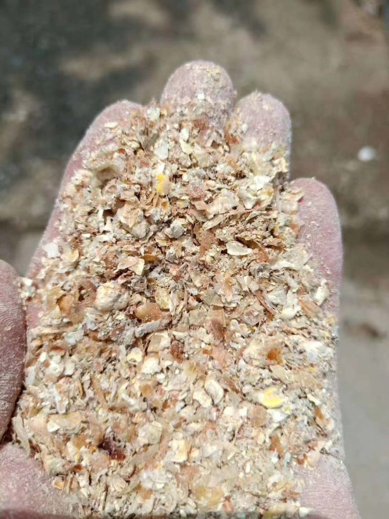 厂家直销烘干玉米皮喂鸡鸭鹅牛羊，饲料原料
