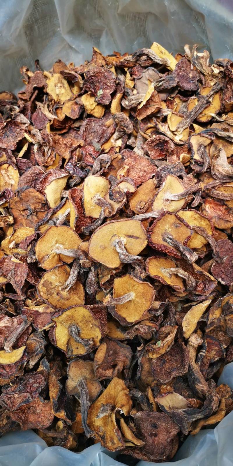蘑菇河北内蒙黑松林野生筛选松蘑干净干度好蘑菇香菇