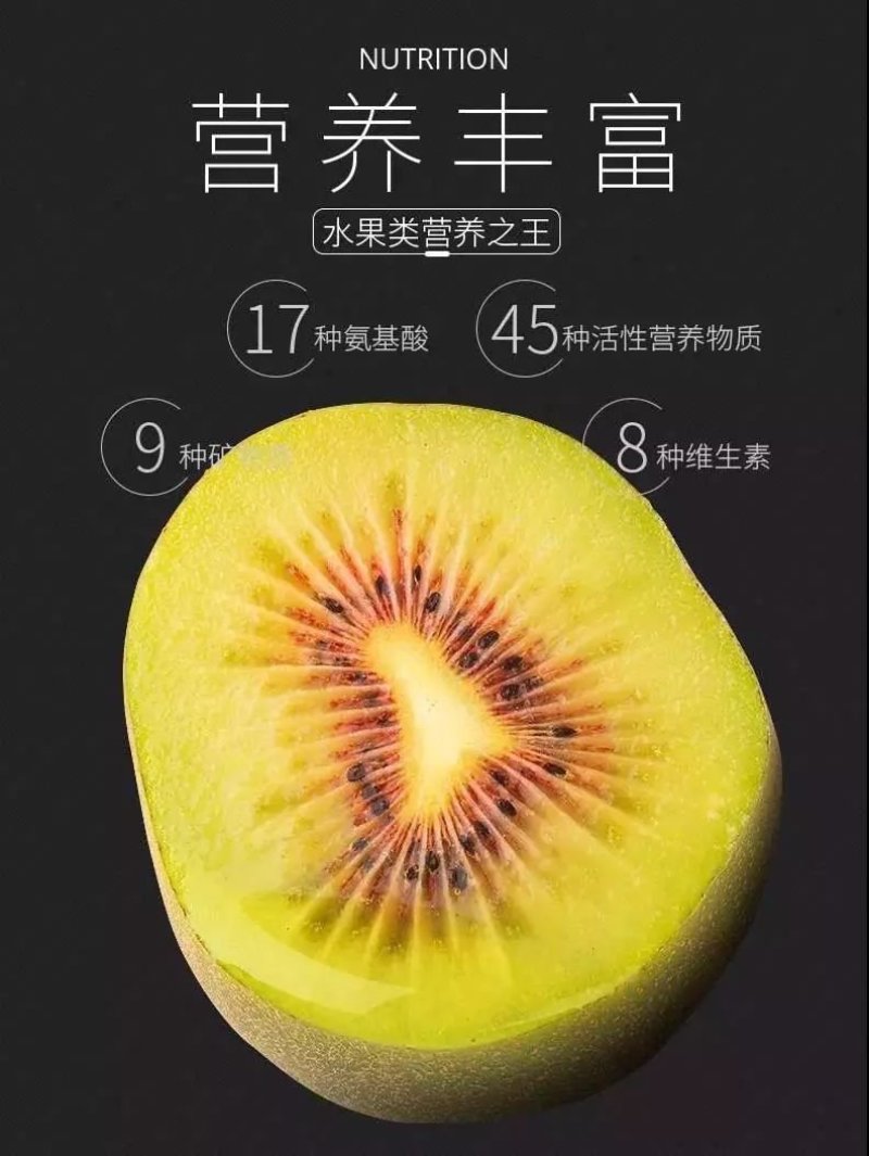 四川广元苍溪大量红心猕猴桃苗批发包邮都好！