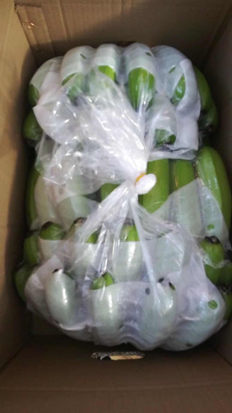 香蕉湛江货遂溪货一手货源欢迎大家来看货