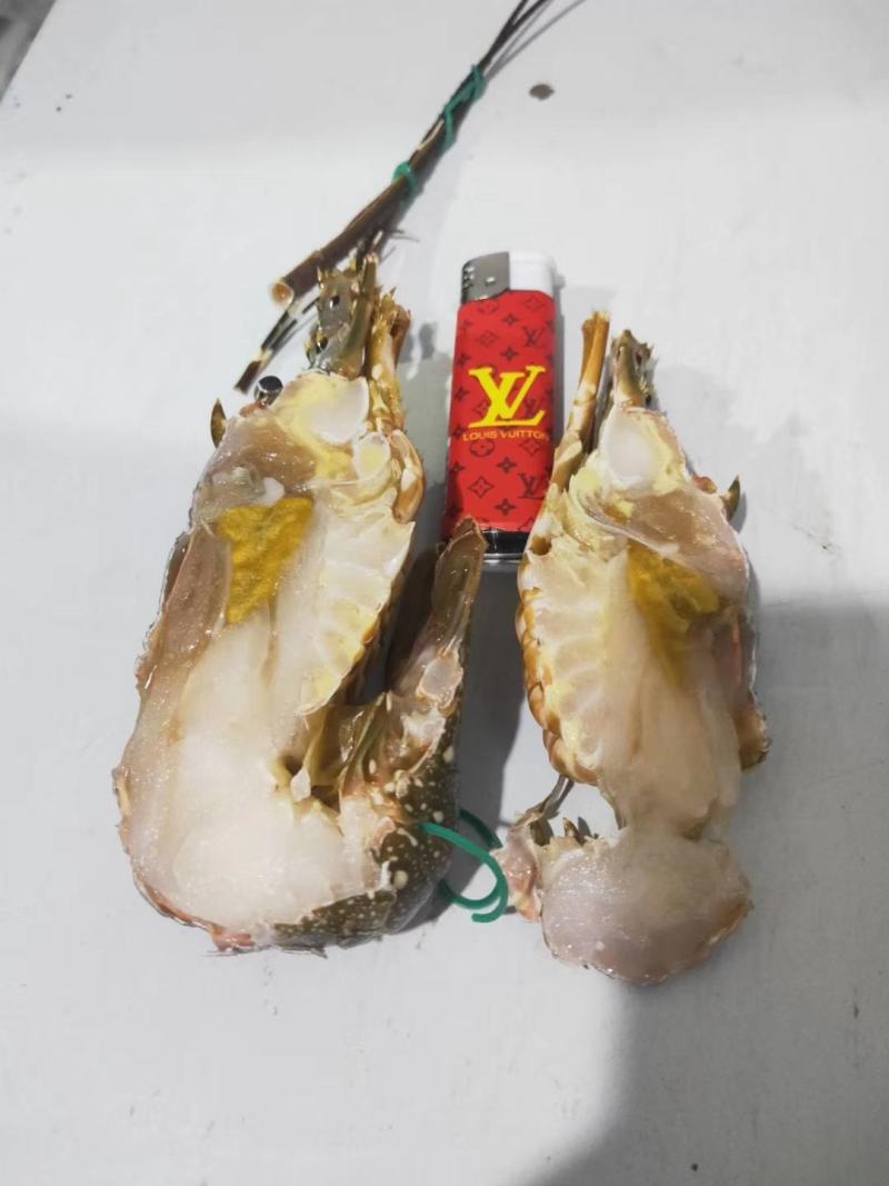 高品质活冻小青龙虾，上海一手货源批发。全规格一件十公斤