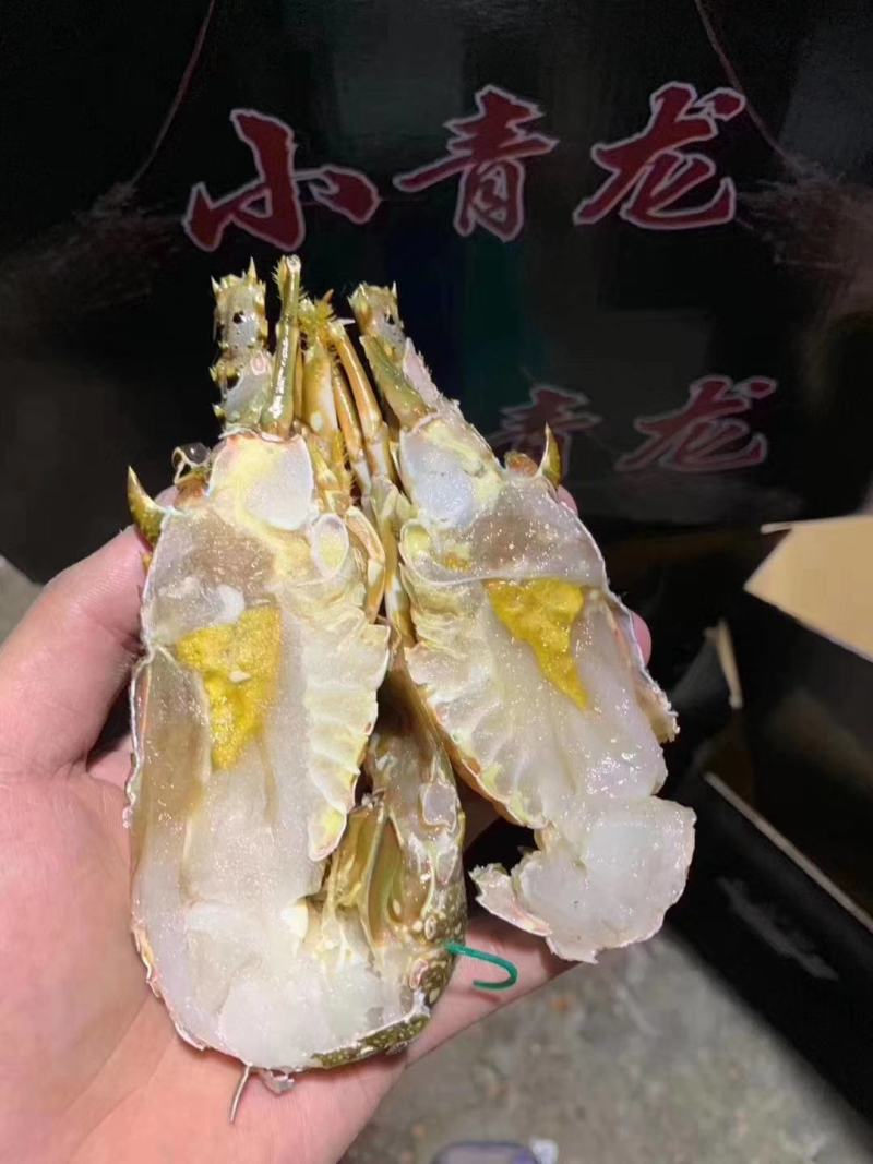 高品质活冻小青龙虾，上海一手货源批发。全规格一件十公斤