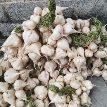 凉薯，地瓜清甜爽口，价格美丽