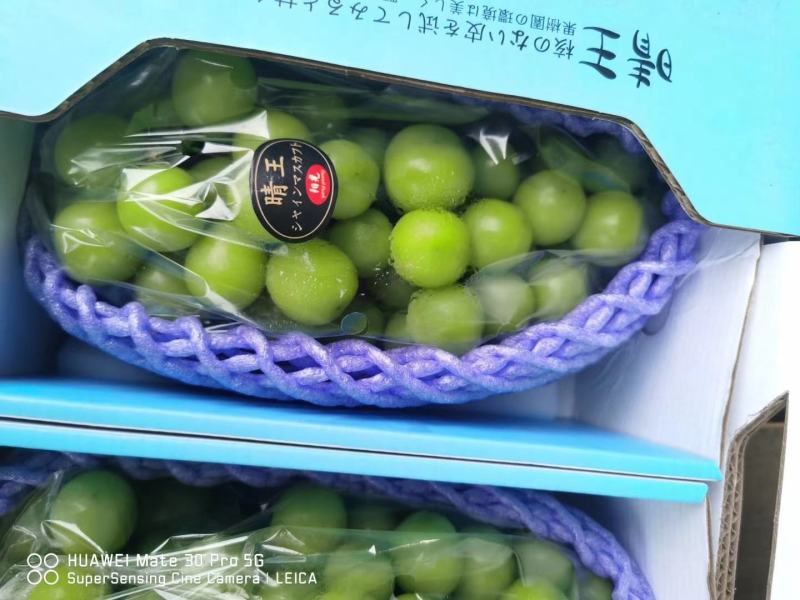 晴王阳光玫瑰精品大量上市中！！欢迎各位老板前来订购