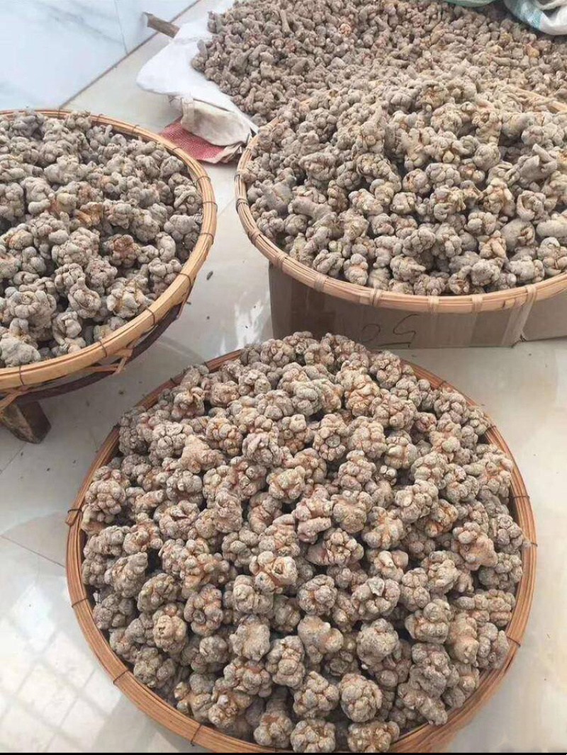 云南文山三七农户一手货源价格优惠多多品质保证