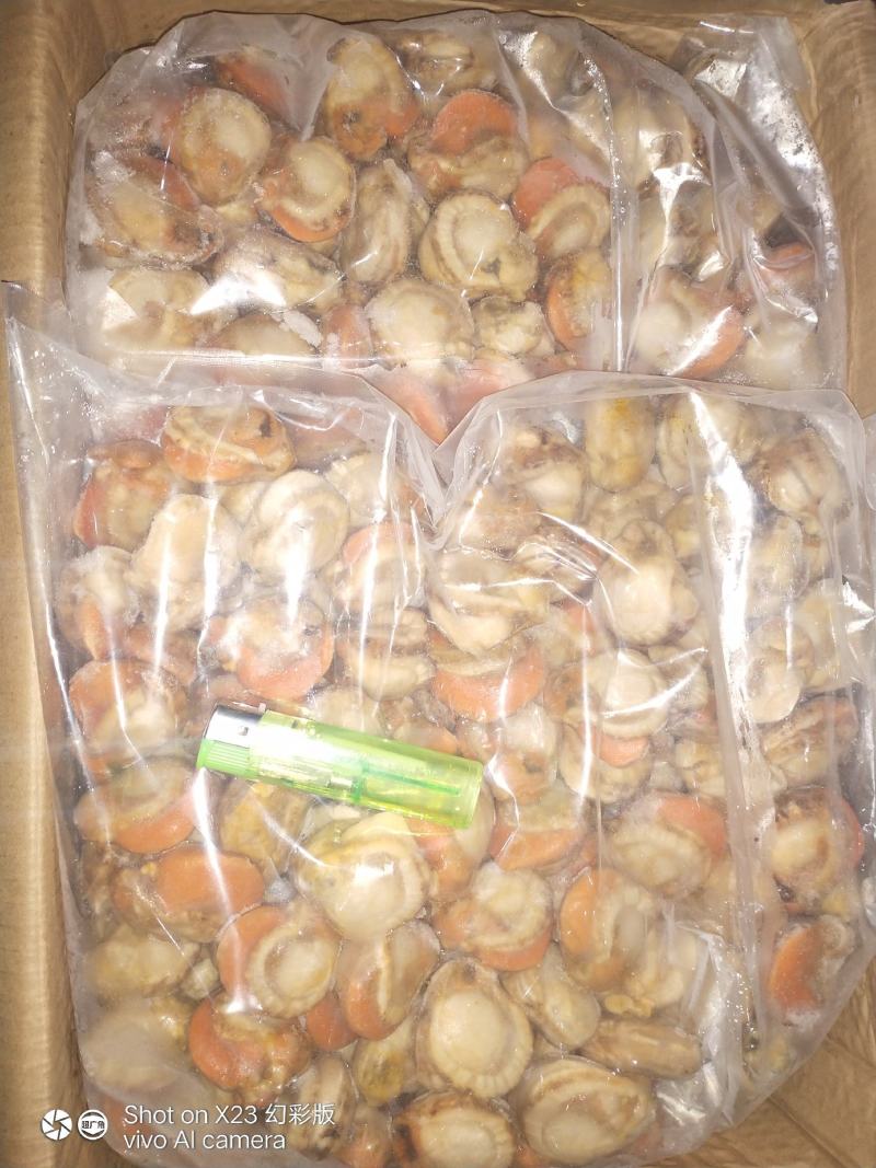 长岛原汁扇贝肉40/60净重10斤有量欢迎来谈