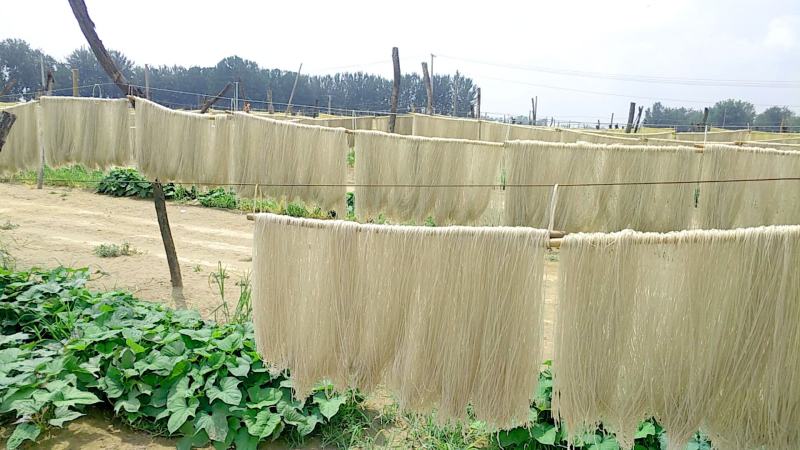 红薯粉条，宽粉圆粉山东厂家直销