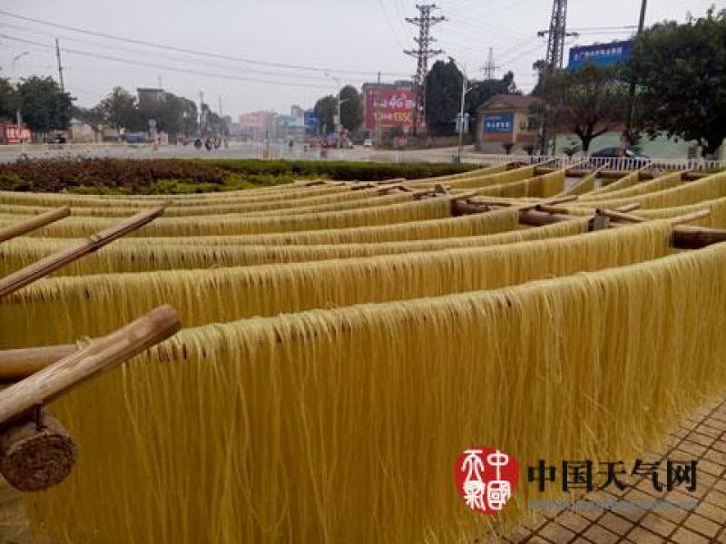 红薯粉条，宽粉圆粉山东厂家直销