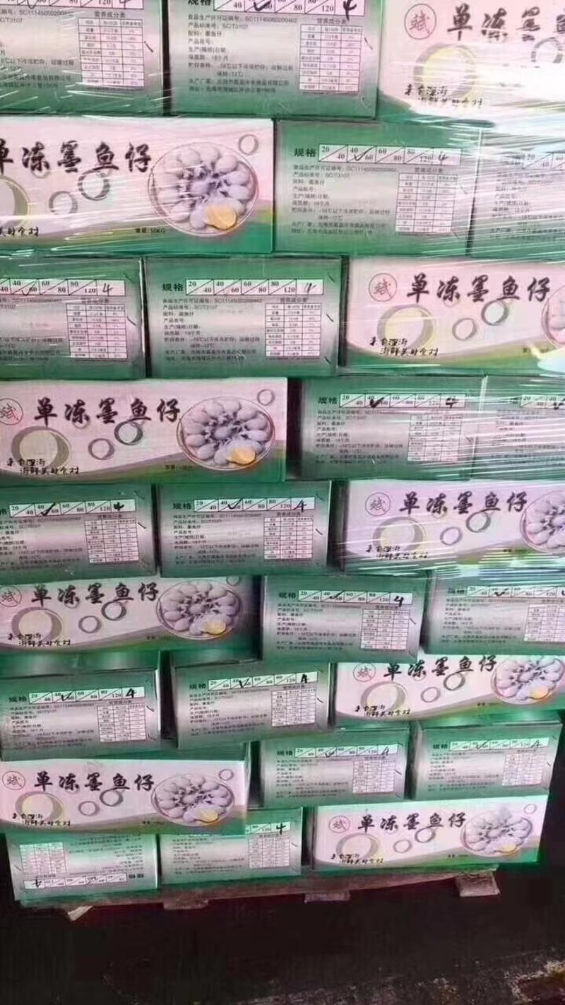墨鱼仔，工厂直销价，一件十公斤，上海现货批发。