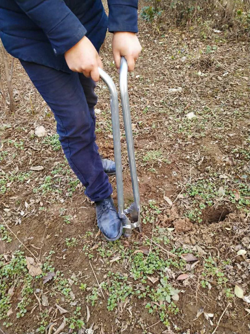 挖苗铲起苗移苗采摘器蔬菜苗木花草土豆栽苗器移栽地膜打洞打