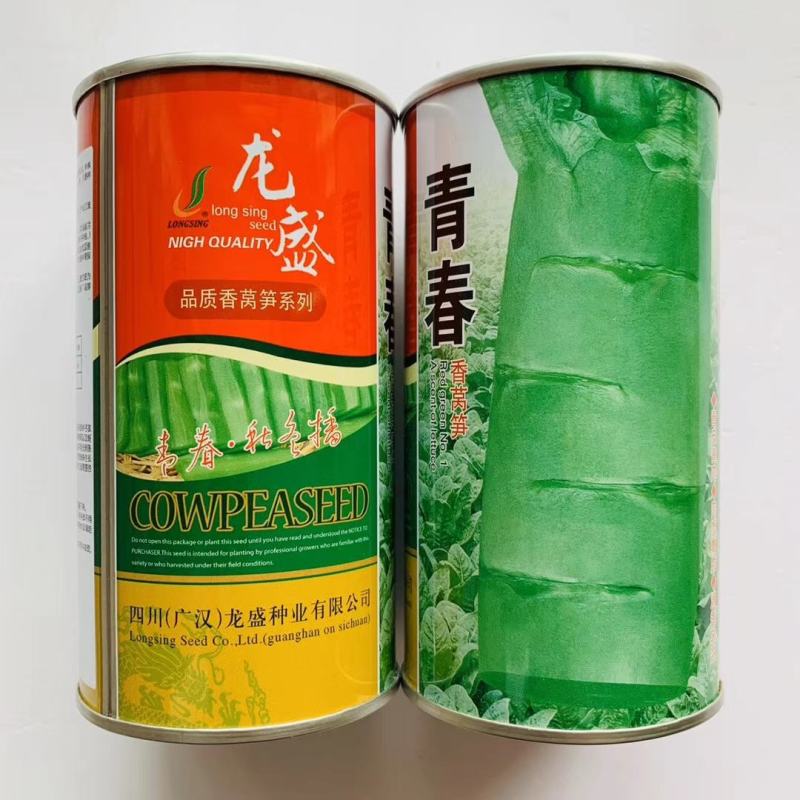 青春香莴笋种子秋冬早春播种用种