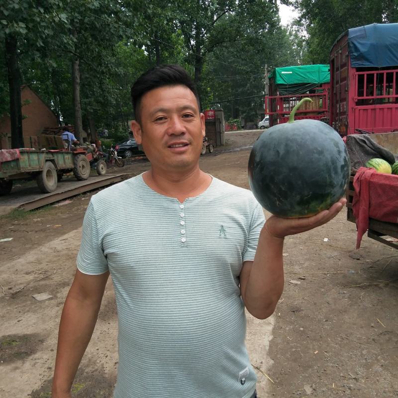 河南省周口市扶沟县吕潭乡尚村岗黑无籽西瓜，欢迎致电联系
