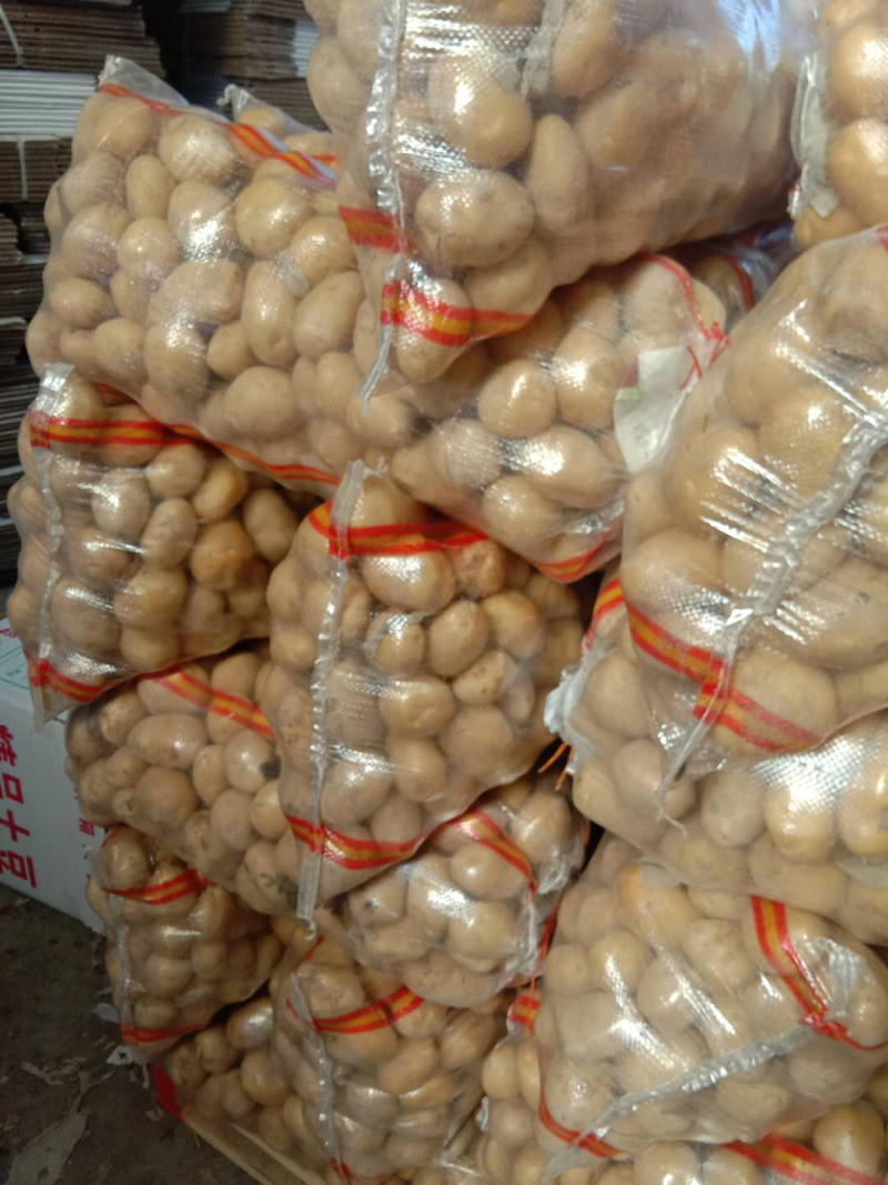 荷兰十五土豆3两以上精品，基地种植大量供应