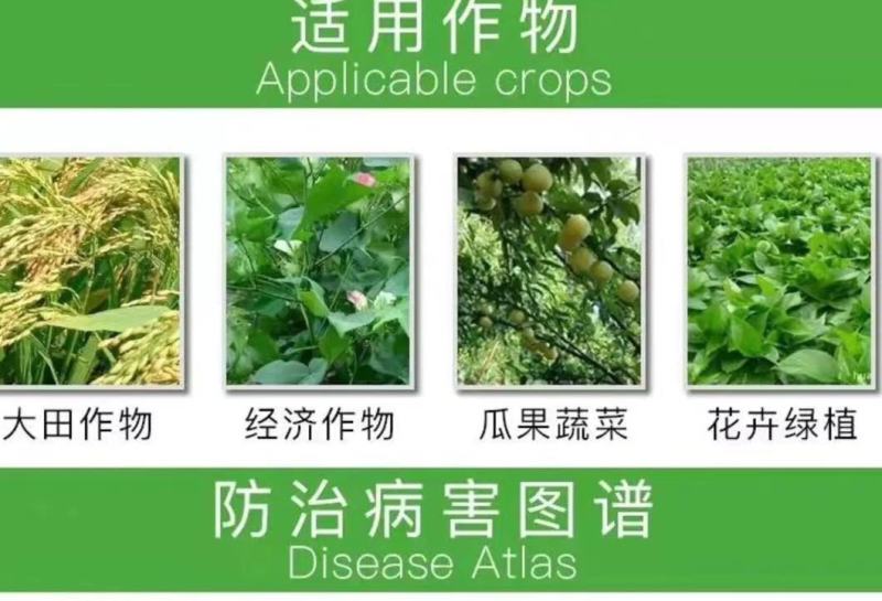 代森锌可视性粉剂80%200克/40袋，全面杀菌