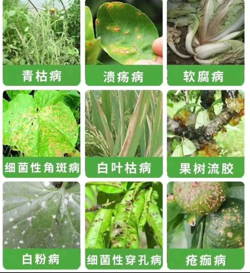 代森锌可视性粉剂80%200克/40袋，全面杀菌