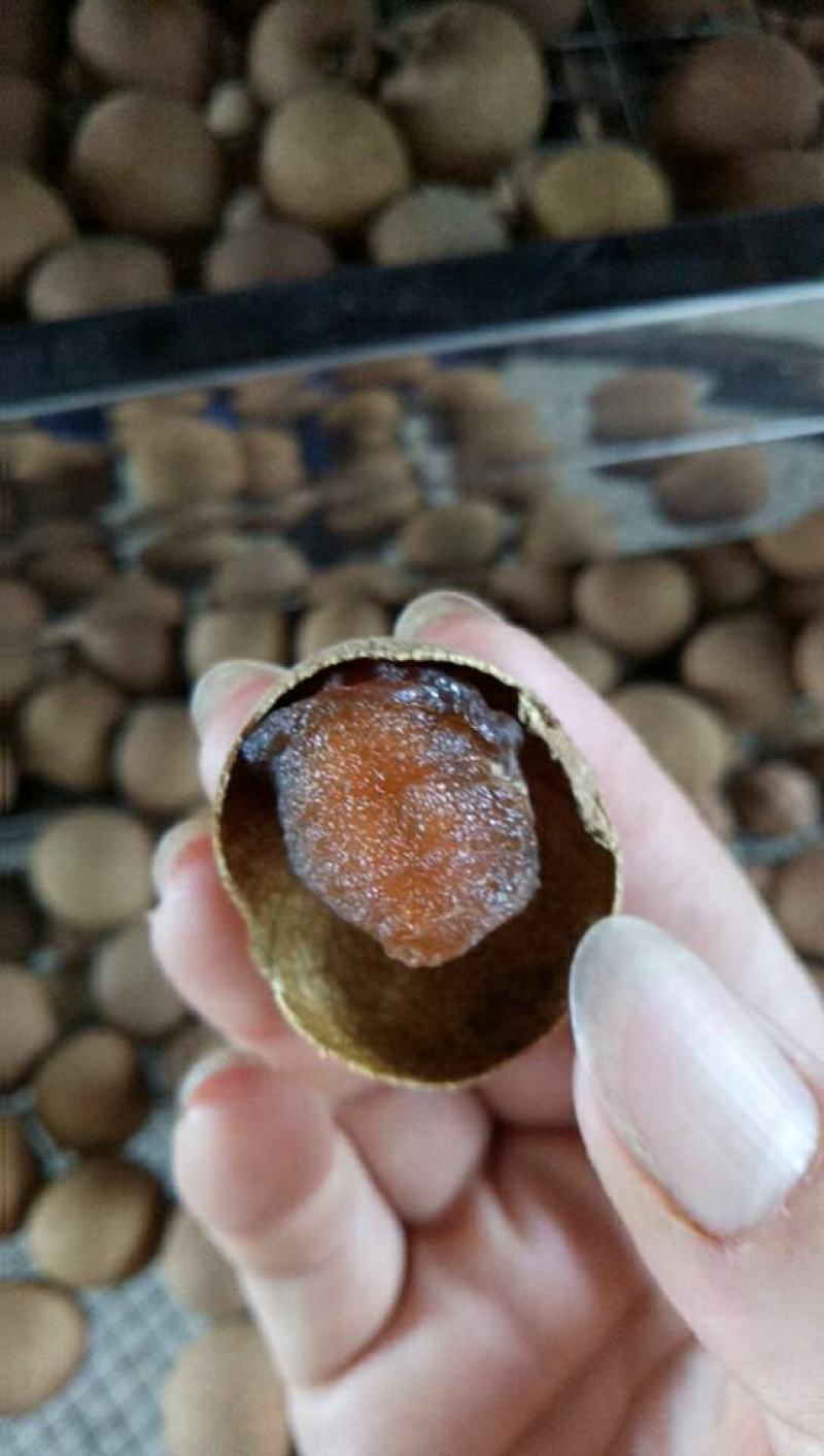 桂圆，桂圆干，桂圆肉，高州特产。粒粒皆辛苦，粒粒皆美肴